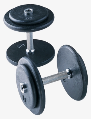 Free Png Dumbbell - Pro Style Dumbbell #339974