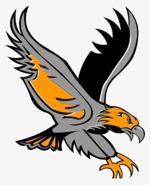 hawk football logo