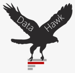 Hawk Clip Art Black And White #3300446