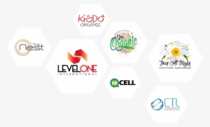 Custom Logo Design - Designing Company #3301024