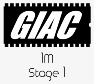 Bmw 1m Giac Stage 1 Performance Ecu Software Upgrade - Giac Program - Stock #3301823