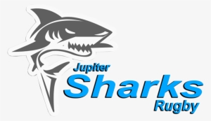 Jupiter Sharks Rugby - Design With Vinyl Shark Wall Decal #3303790
