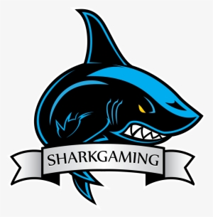 Shark Gaming - Drafts - Nzxt Phantom 240 No Power Supply Atx Mid Tower (matte #3303813