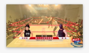 Ho Ho Lun Vs - Amateur Boxing #3306247