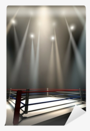 Boxing Ring #3306301