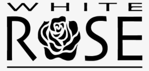 White Rose #3306381 White Rose #3306381