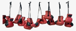 My Story - Boxing Gloves #3306449