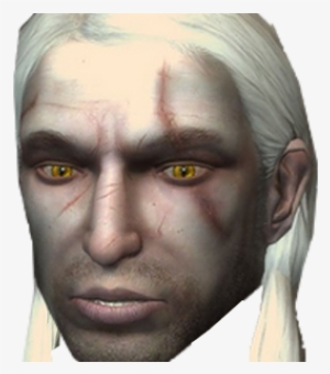 Lien Direct, 2017/22/1496583348 Sans Titre 1 - Geralt Of Rivia The Witcher 2007 #3306782