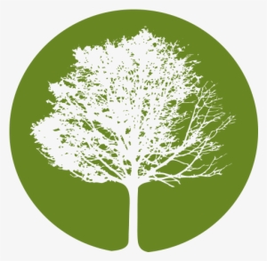 Tree Clipart Leaf Png - Film #3306913