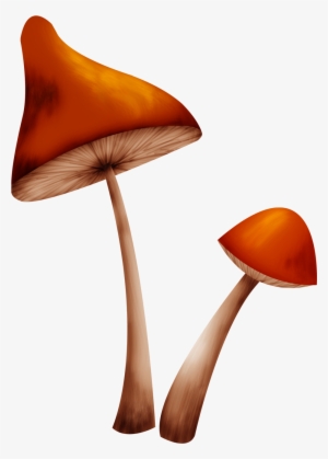 Setas Png Iiiii - Hongo Png Dibujo #3310516