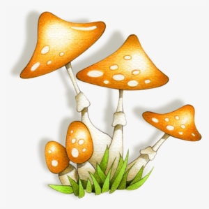 Buscar Con Google - Stuffed Mushrooms #3310615