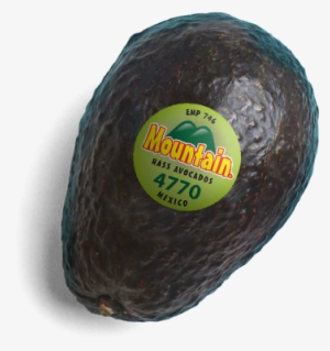 Your Label Should Be, Too - Label #3311868