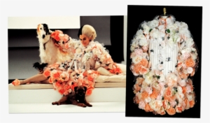 Ombred Silk Organza Decorated With Tulle And Silk Roses - Glenn Close Cruella Deville Costumes #3312730