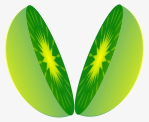 Half Sun Vector Png Download - Clip Art Of Half #3313409