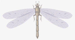 Vector Graphics,free Pictures - Inseto Grande Com Asas #3313515