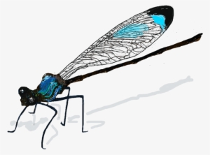 Dragonfly Wings Png Download - Damselfly Drawing #3313602