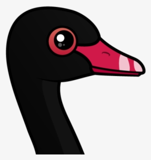 About The Black Swan - Black Swan #3313772