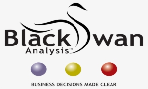 Black Swan Analysis Ltd #3313837 Black Swan Analysis Ltd #3313837