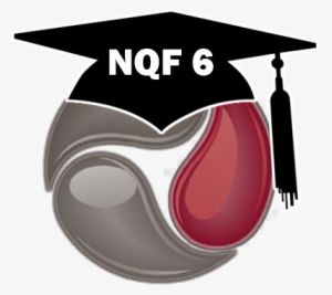 Nqf 6 Icon - Nqf 4 #3313938