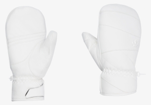 Women's Gloves - Glove #3314689