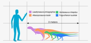 Australian Hypsilophodont Sizes Slate - Hypsilophodont #3316495
