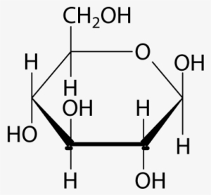 Brain Glucose Graphics4 Glucose Powder Dsc - Alpha L Mannopyranose #3317086