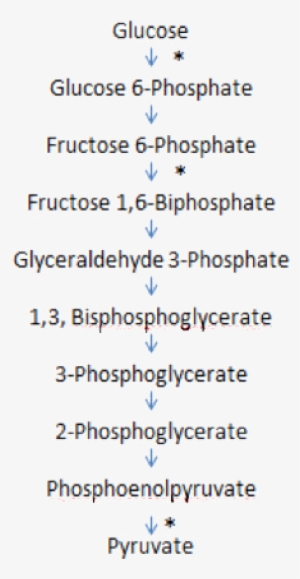 Diamante Poem #3317409