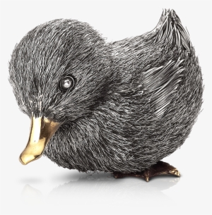 Duck #3318420