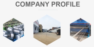 Hebei Xiyue Hardware Mesh Products Co - Profile Picture Coming Soon #3318584