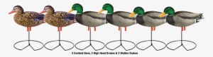 Avery Pro Grade Mallard Fb W/ Flocked Heads Harvest #3318585