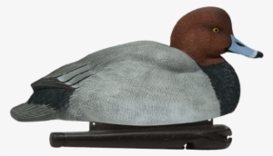 Avianx Foam Filled Redheads - Avian X Redhead Hen #3318671