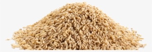 Photo Of A Pile Of Rice - Arroz En Granos Png #3319671