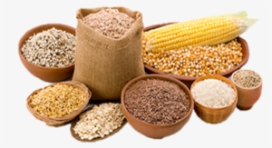 Grains - Grupo De Alimentos Cereales #3319750