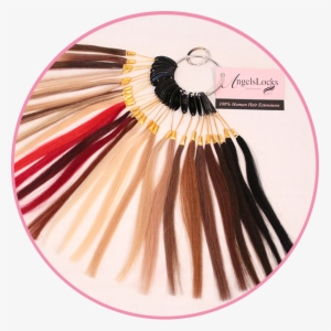 Hair Extensions Circle - Angel Remy Extension Colour Chart #3321893