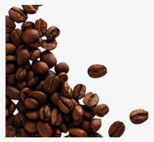 Cacaos Free Png Image - Coffee Beans Transparent Background #3322838