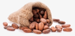 Granos De Cacao #3322937