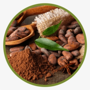 Cacao Mae ™ Is A Dominican Family Business Brand That #3323015