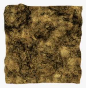 24 Mar 2009 - Roll Tide #3323064