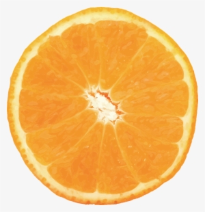 Orange, Vector, Fruit, Citrus, Food, Valencia - Orange Png #3323977