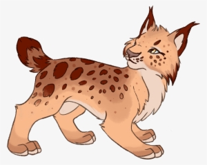 Lynx Animal Mammal Fursona Furry Feline Furry Artist - Kitten #3325014