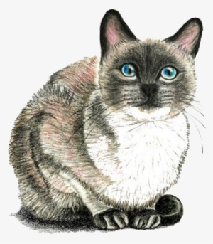 Transparent Tumblr Sidebar #3325064