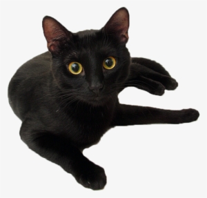 C - Hecate Spells #3325183