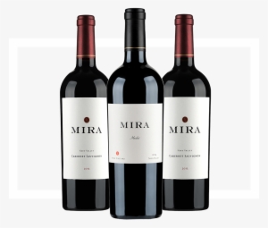 Tinto Da Anfora #3326591