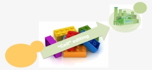 Img Tema Nuno Mira - Graphic Design #3326638