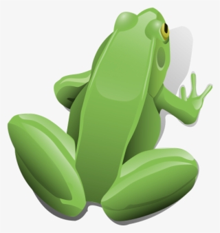 Molumen Green Sitting Frog 555px - Green Frog Shower Curtain #3326967