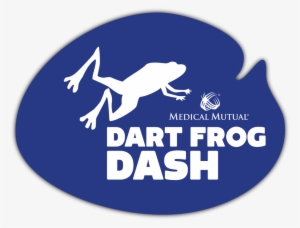 Dart Frog Dash - Data Flow Diagram #3326998