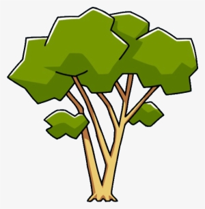 Eucalyptus Tree - Gum Trees #3327112