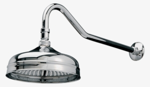 Albany Shower Head - Shower #3328136