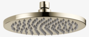 Round Raincan Showerhead #3328512