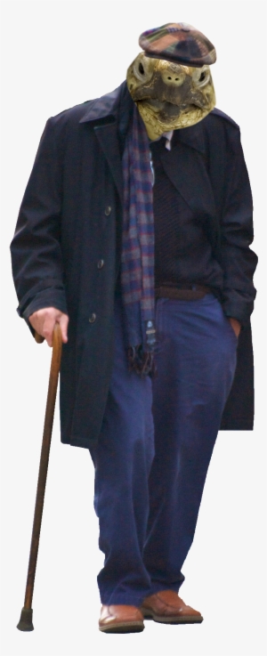 Crazy Animals - Download #3328767